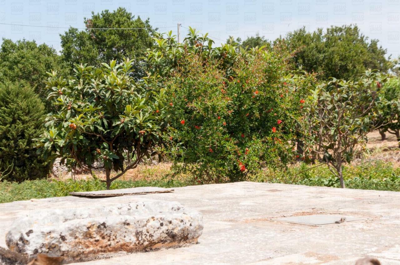 Helloapulia - Villa Flora Noci Exterior photo