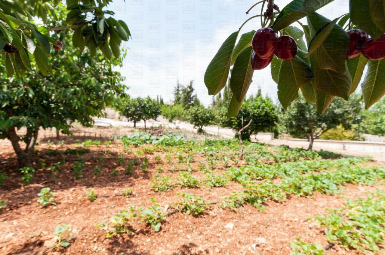 Helloapulia - Villa Flora Noci Exterior photo